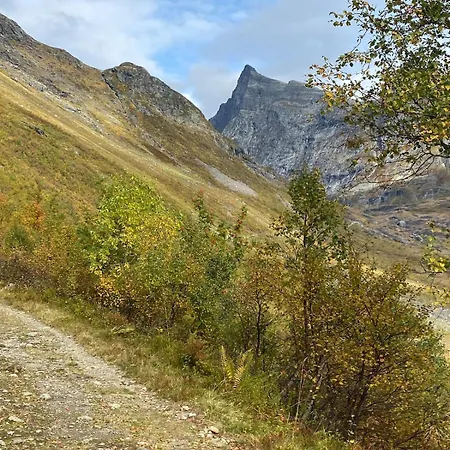 Harevadet 217 Volda