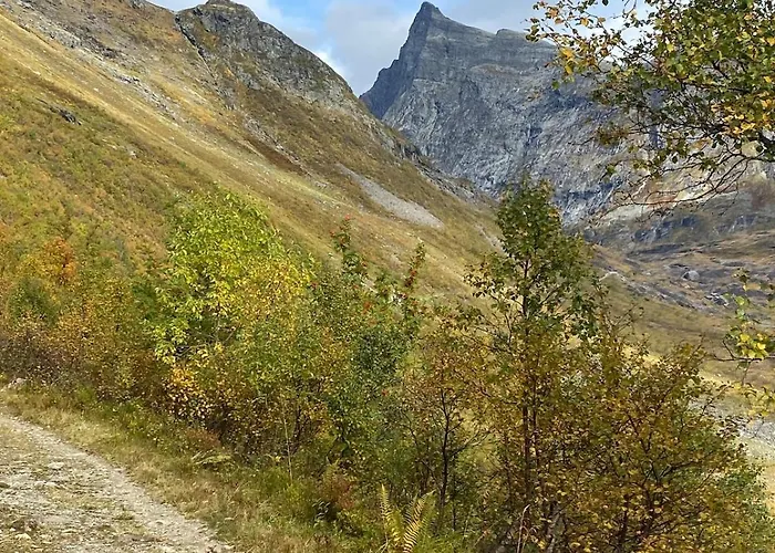 Harevadet 217 Volda